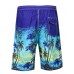 APTRO Men's Summer Beach Short Gradient Swim Trunk